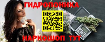 хмурый Гусь-Хрустальный