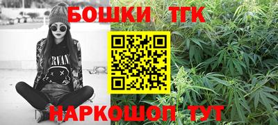 МДПВ Гусев